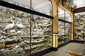 missiemuseum steyl 5-2022 2502